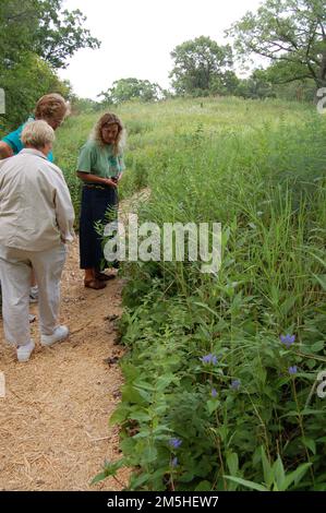 Grand Rounds Scenic Byway - in una passeggiata nella natura presso il Giardino dei fiori selvatici. Un botanico spiega le qualità di erbe di molti fiori selvatici e piante a due visitatori al Eloise Wildflower Gardens a Minneapolis una sera in agosto. Eloise Butler Wildflower Gardens, Minneapolis, Minnesota (44,978° N 93,326° W) Foto Stock