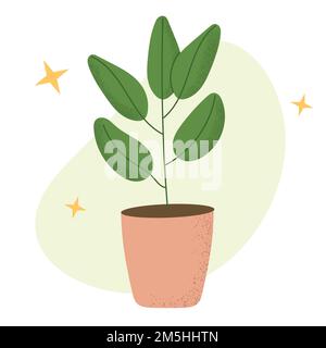 Ficus in vaso. Casa pianta interna. Illustrazioni vettoriali piatte isolate Illustrazione Vettoriale