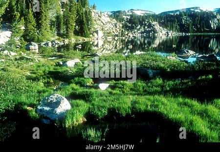 Beartooth Highway - laghi Kettle. Sull'altopiano di Beartooth ci sono centinaia di laghi di bollitore. Location: (44,935° N 109,494° W) Foto Stock