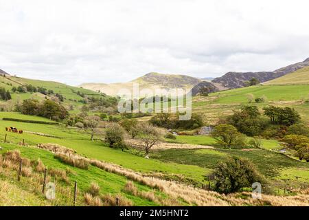 Passo di Whinlass, Cumbria, Regno Unito, Inghilterra, passo di montagna, Whinlass Pass UK, Whinlass Pass Cumbria, Cumbria, Landscape, Cumbria Landscape, Cumbria Foto Stock