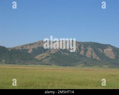 Pioneer Historic Byway - cielo blu sopra le montagne. Una montagna a strisce verdi con foresta e marrone con erba estiva funge da divisore tra verdi pascoli e un cielo limpido. Ubicazione: Tra la formazione del cappello cinese e la libertà, Idaho (42,994° N 111,388° W) Foto Stock