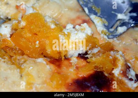 La zucca, la zucca o la zucca, la zucca, è un genere di frutti erbacei della famiglia delle zucche, le Cucurbitacee, la zucca bianca Foto Stock