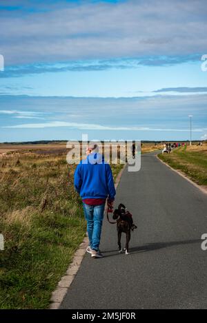 Fai una passeggiata lungo la spiaggia di Crosby per il pugile di famiglia Foto Stock