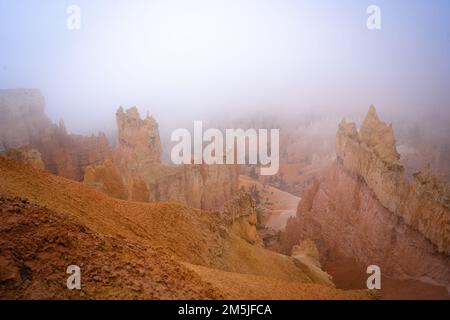 si affaccia sul canyon di bryce durante la nebbia Foto Stock