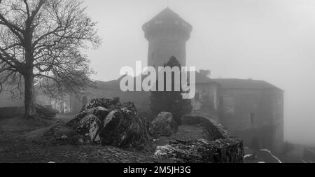 Il Castello di Sovinec nella Moravia settentrionale, Repubblica Ceca, in una giornata invernale misteriosa Foto Stock