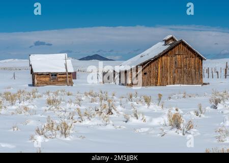 La bellezza dei vecchi fienili che si possono ancora trovare nella Wet Mountain Valley del Colorado ci ricorda la sua storia e la sua eredità. Foto Stock