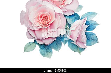 Un disegno acquerello di una rosa damascena (rosa damascena), isolata su sfondo bianco Foto Stock