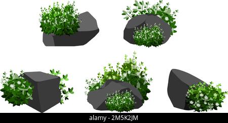 Raccolta di pezzi di carbone, grafite, basalto e antracite. Un set di carbone nero di varie forme e plants. Il concetto di minerario e minerale in un Illustrazione Vettoriale