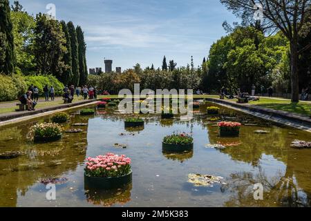 I panoramici giardini acquatici con tulipani galleggianti del Parco Sigurta, Valeggio sul Mincio, Veneto Foto Stock