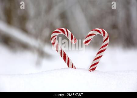 Due canne di caramelle sulla neve nella foresta invernale. Sfondo per la celebrazione di Capodanno, dolci di Natale Foto Stock