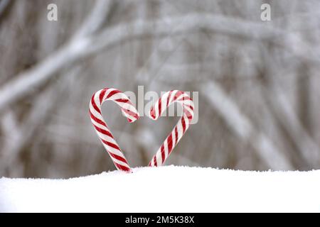 Due canne di caramelle sulla neve nella foresta invernale. Sfondo per la celebrazione di Capodanno, dolci di Natale Foto Stock