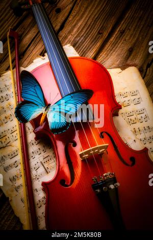 Dolce farfalla blu su Violin Still Life Foto Stock