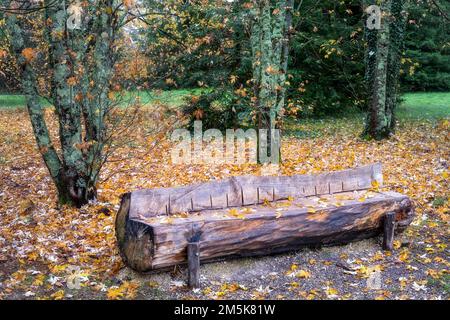 Panca fatta in un tronco d'albero, Bordeaux, parc floreale in autunno, Francia Foto Stock