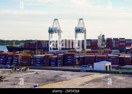 Miami, FL USA - 12 12 2022: Vista impressionante delle enormi gru a container nel porto di Miami Foto Stock