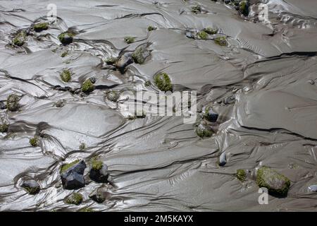 Uno sguardo alla vita in Nuova Zelanda. Attrazioni lungo la spiaggia in una baia appartata, South Island, Nuova Zelanda. Modelli nella sabbia. Foto Stock