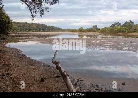 Moonee Creek, parte del Solitary Islands Marine Park Foto Stock