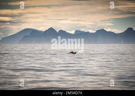 US Coast Guard barca gonfiabile che passa di fronte alle montagne sulla costa di Labrador, Canada, durante l'operazione Nanook 2022. Foto Stock