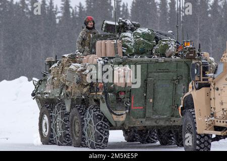 2nd Lt. Devin Wentworth, un soldato dal Battaglione del 1st, 24th reggimento di fanteria, 1st Brigade, 25th Divisione di fanteria assegnata all'Alaska dell'esercito degli Stati Uniti osserva il convoglio forma-in su dietro il suo Stryker alla zona di goccia di Buffalo vicino a Fort Greely, AK marzo 22, 2022 come parte del Joint Pacific Multinational Readiness Center 22-02. JPMRC 22-02 è la prima rotazione del Centro di addestramento di combattimento regionale in Alaska. Si concentra su Large Scale Combat Operations (LSCO) ed è un evento di addestramento per il clima freddo che include un esercizio di addestramento Situazionale (STX) e un esercizio di fuoco in tempo reale (LFX). Questo esercizio verrà convalidato Foto Stock