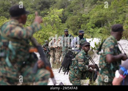 Il personale della Guyana Defense Force (GDF) e i soldati della Guardia Nazionale dell'esercito della Florida con B/2-54th la Brigata di Assistenza della forza di sicurezza (SFAB) valutano le tattiche di sicurezza durante uno scambio di conoscenze al campo base Stephenson, Guyana, 22 marzo 2022. I guardiani e i membri del GDF hanno collaborato alle Best practice relative agli scenari di sicurezza e ripristino. Gli scenari hanno consentito ai membri del servizio di condividere le proprie conoscenze ed esperienze sviluppando al contempo competenze individuali e di squadra. Eventi come questi forniscono alle nazioni una piattaforma per rafforzare le relazioni positive e la preparazione ai progetti futuri Foto Stock