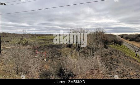 LEWISVILLE, Texas (22 marzo 2022) Una vista della prateria sotto la diga del lago Lewisville che mostra la crescita 20 giorni dopo un incendio selvaggio 2 marzo 2022. Un incendio prescritto è stato avviato presso la Lewisville Lake Environmental Learning Area a Lewisville Lake nel tentativo di creare, ripristinare e rivitalizzare praterie sotto la diga di Lewisville. Si presume che questo incendio sia stato controllato prima delle 12:00, ma a causa di cambiamenti del vento e delle condizioni meteorologiche, l'incendio è sfuggito alla sua area prevista. Vigili del fuoco di Fiore Mound, Frisco e diverse altre città circostanti hanno risposto alle richieste di aiuto reciproco con i camion spazzoloni per aiutare Foto Stock