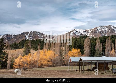 Vista panoramica della riva est del lago Tekapo. Splendida vista guidando lungo la Lilybank Road dal Parco del Lago Tekapo verso il punto di vista di Motuariki. Foto Stock