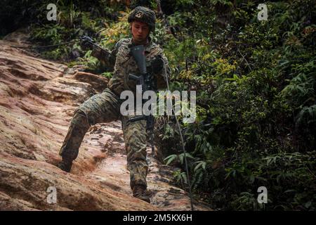 STATI UNITI Isaac Rawson, un operatore di sistemi di trasmissione con 5th Air Naval Gunfire Liaison Company, III Marine Expeditionary Force Information Group, esegue un rappel affrettato giù una collina durante un corso istruttivo al Jungle Warfare Training Center, Camp Gonsalves, Okinawa, Giappone, marzo 23, 2022. Il rappelling è stato condotto come parte di un esercizio generale di Jungle Field condotto il 21-25 marzo. Durante il FEX, III MIG Marines ha praticato la loro capacità di condurre operazioni distribuite in un ambiente austero. JWTC fornisce terreno impegnativo che si trova su molte delle isla Foto Stock