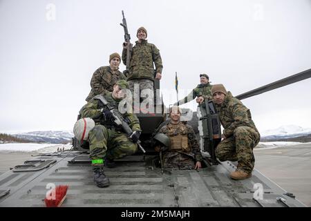 STATI UNITI Marines posa per una foto con i membri del servizio svizzero durante Exercise Cold Response 2022, Bardufoss Air Station, Norvegia, 25 marzo 2022. I Marines sono assegnati a Marine Wing Support Squadron 272, 2D Marine Aircraft Wing, II Marine Expeditionary Force, e i membri del servizio svizzero sono assegnati 191 Battaglione meccanizzato. Exercise Cold Response ’22 è un esercizio biennale che si svolge in tutta la Norvegia, con la partecipazione di ciascuno dei suoi servizi militari, nonché di altre 26 nazioni alleate della NATO e partner regionali. Foto Stock