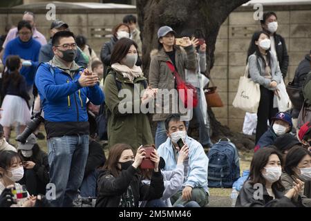 I membri della base aerea di Yokota e della comunità giapponese festano la presenza della Pacific Air Forces Band durante il Sakura Spring Festival, 26 marzo 2022, presso la base aerea di Yokota, Giappone. Il Sakura Festival è un evento bilaterale volto a rafforzare le relazioni tra Stati Uniti e Giappone. Circa 6.000 membri della comunità off-base sono stati in grado di vedere i ciliegi fioriti, e godere di spettacoli di strada e musica dal vivo accanto alla comunità base, durante l'evento. Foto Stock