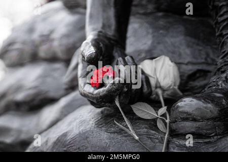 Un fiore è stato collocato sul Vietnam Women’s Memorial durante una cerimonia di deposizione della corona per la Giornata Nazionale dei Veterani di guerra del Vietnam a Washington, D.C., 29 marzo 2022. Il monumento è stato istituito per onorare le donne che hanno rischiato la vita per servire il loro paese. Foto Stock