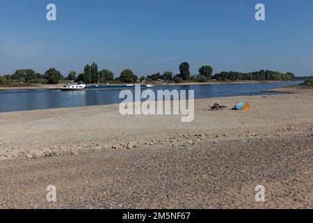 Reno ad acqua estremamente bassa nell'agosto 2022, livello dell'acqua 37 cm, Duesseldorf-Kaiserswerth, basso Reno, Nord Reno-Westfalia, Germania Foto Stock