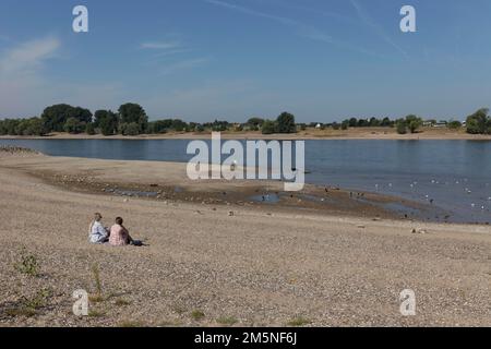 Reno ad acqua estremamente bassa nell'agosto 2022, livello dell'acqua 37 cm, Duesseldorf-Kaiserswerth, basso Reno, Nord Reno-Westfalia, Germania Foto Stock