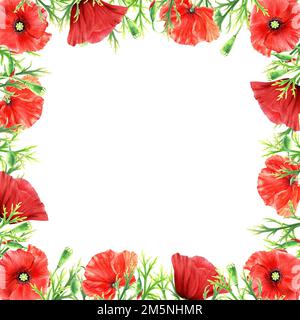 Poppies flower frame, acquerello illustrazione isolato su bianco Foto Stock