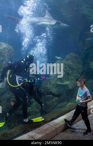 Un Combat Diver di 10th Special Forces Group (Airborne) interagisce con un bambino durante un evento di allenamento in acqua salata presso l'acquario di Denver, Colorado, il 25 febbraio 2022. Coniugi e famiglie hanno potuto guardare la squadra subacquea e hanno avuto l'opportunità di scattare foto durante il corso. Foto Stock