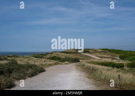 Una strada sterrata attraverso il paesaggio delle dune a Domburg, nei Paesi Bassi Foto Stock