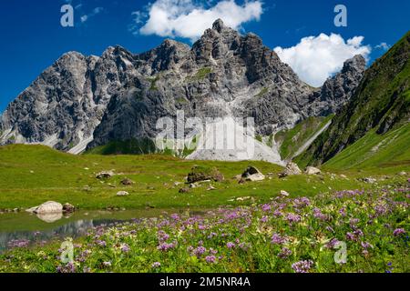 Eissee, Oytal, dietro Grosser Wilder, 2379m, Hochvogel e Rosszahn Group, Allgaeu Alps, Allgaeu, Baviera, Germania Foto Stock