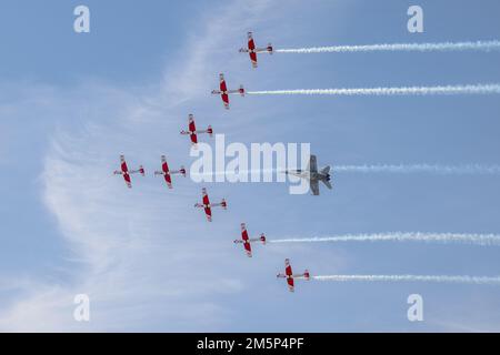 Swiss Air Force PC-7 il team di esposizione aerobatica che vola in formazione con un F/A-18C Hornet svizzero al Royal International Air Tattoo 2022 Foto Stock