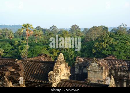 I tetti di Angkor Wat dalla cima del tempio con la foresta pluviale cambogiana sullo sfondo. SIEM Reap, Cambogia Foto Stock