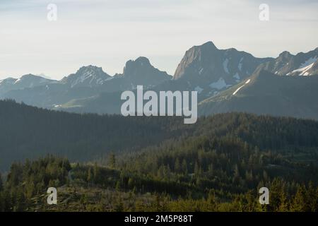 Montagne svizzere con una foresta in primavera con bella luce solare Foto Stock