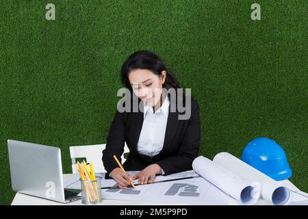 L'erba business disegni donna designer Foto Stock