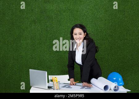 L'erba business disegni donna designer Foto Stock