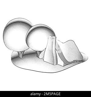 Illustrazione di Scricchboard incisa casa fiabesca e alberi rotondi in un giardino Foto Stock