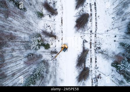 Un'antenna di una ghigliottina gialla che abbattere il legno energetico e il legno duro di basso valore accanto a una piccola strada nella wintry Estonia, Nord Europa Foto Stock