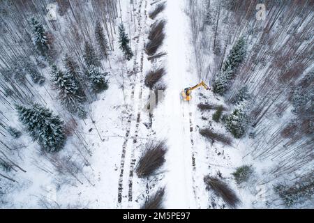 Un'antenna di una ghigliottina gialla che abbattere il legno energetico e il legno duro di basso valore accanto a una piccola strada nella wintry Estonia, Nord Europa Foto Stock