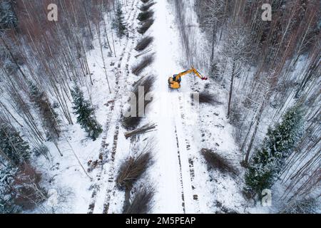 Un'antenna di una ghigliottina gialla che abbattere il legno energetico e il legno duro di basso valore accanto a una piccola strada nella wintry Estonia, Nord Europa Foto Stock