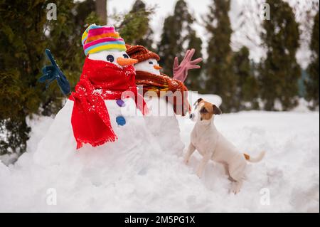 Un cane su una passeggiata in inverno accanto a due pupazzi di neve. Jack Russell Terrier indossa una sciarpa a maglia. Foto Stock