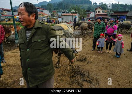 Bac ha, Vietnam - 18 dicembre 2022: Un uomo che vende bufalo al mercato di Bac ha in Vietnam. Foto Stock