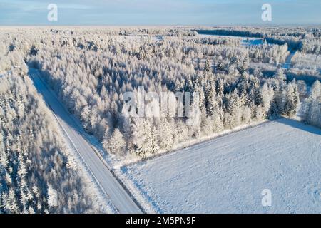 Un'antenna di una piccola strada di ghiaia innevata e di un bosco in una giornata invernale soleggiata nella rurale Estonia, Nord Europa Foto Stock