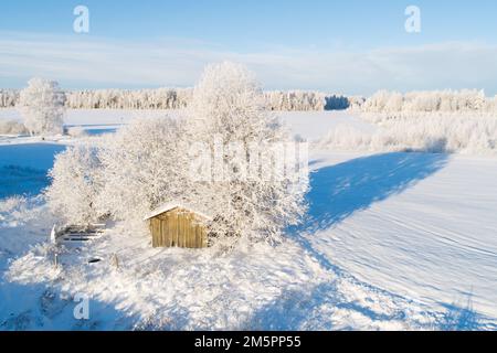 Un'antenna di un vecchio edificio abbandonato durante una soleggiata giornata invernale in Estonia rurale, Nord Europa Foto Stock