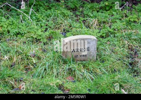 Piccolo lapide del 1970s che commemora un amato animale domestico, nel cimitero degli animali domestici nel parco pubblico di Jesmond Dene, Newcastle upon Tyne, Regno Unito. Foto Stock