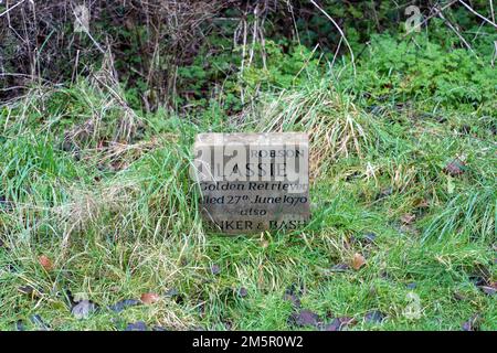 Piccolo lapide del 1970s che commemora un amato animale domestico, nel cimitero degli animali domestici nel parco pubblico di Jesmond Dene, Newcastle upon Tyne, Regno Unito. Foto Stock